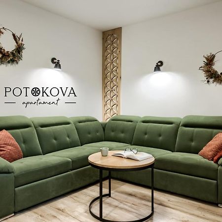 Potokova Apartament Centrum Zakopane Zewnętrze zdjęcie