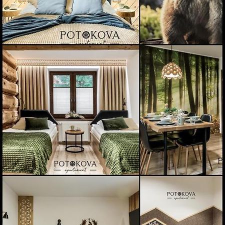 Potokova Apartament Centrum Zakopane Zewnętrze zdjęcie