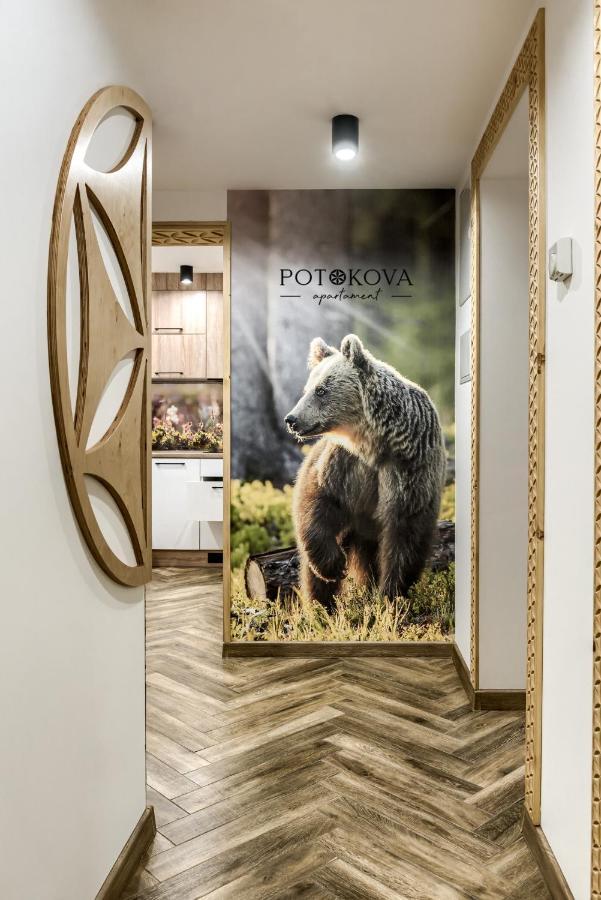 Potokova Apartament Centrum Zakopane Zewnętrze zdjęcie