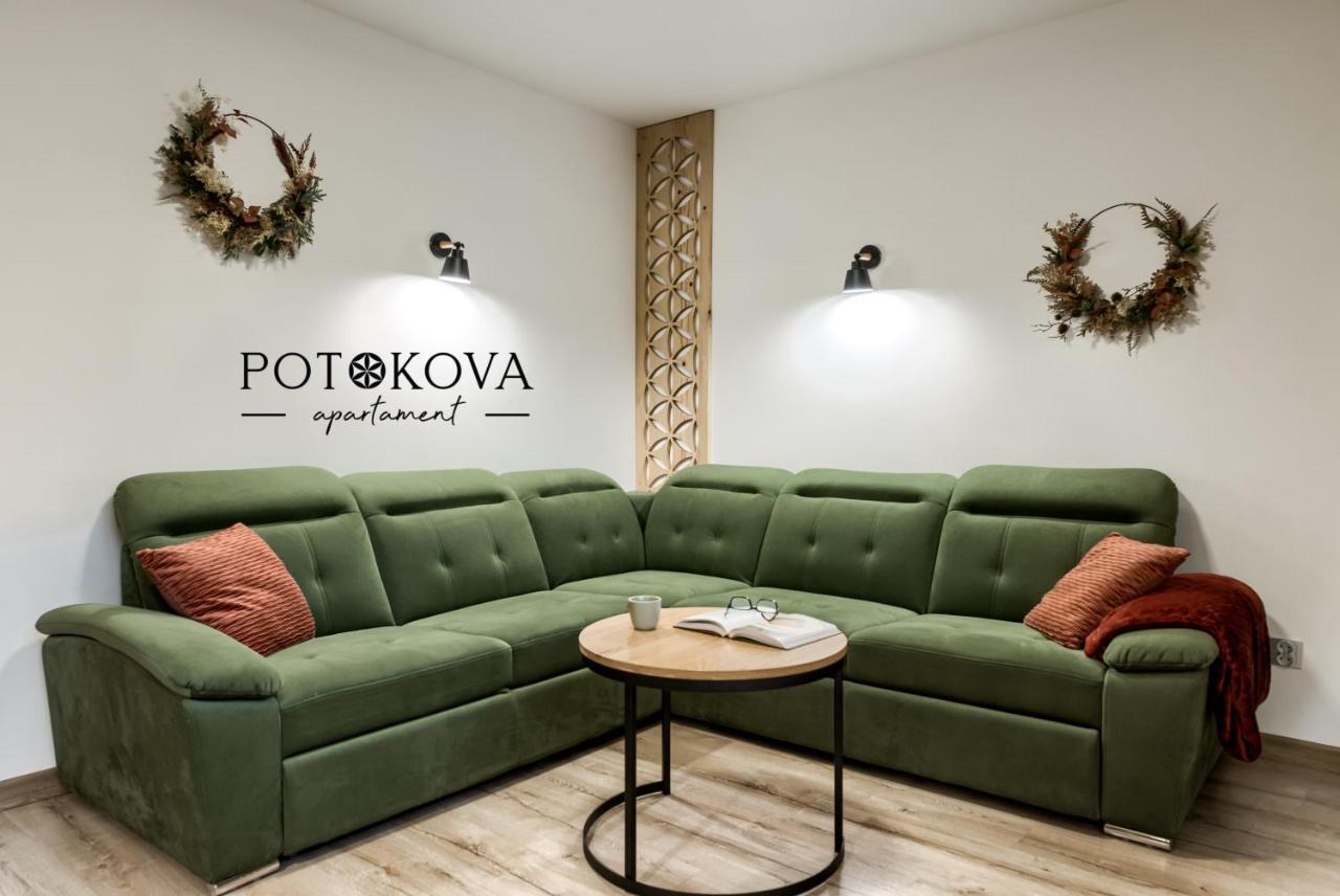 Potokova Apartament Centrum Zakopane Zewnętrze zdjęcie
