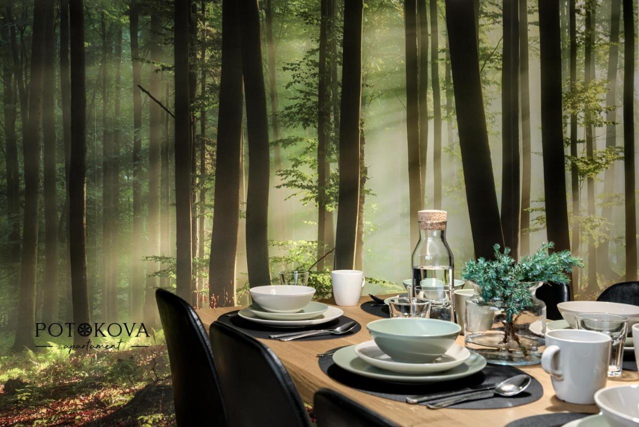 Potokova Apartament Centrum Zakopane Zewnętrze zdjęcie