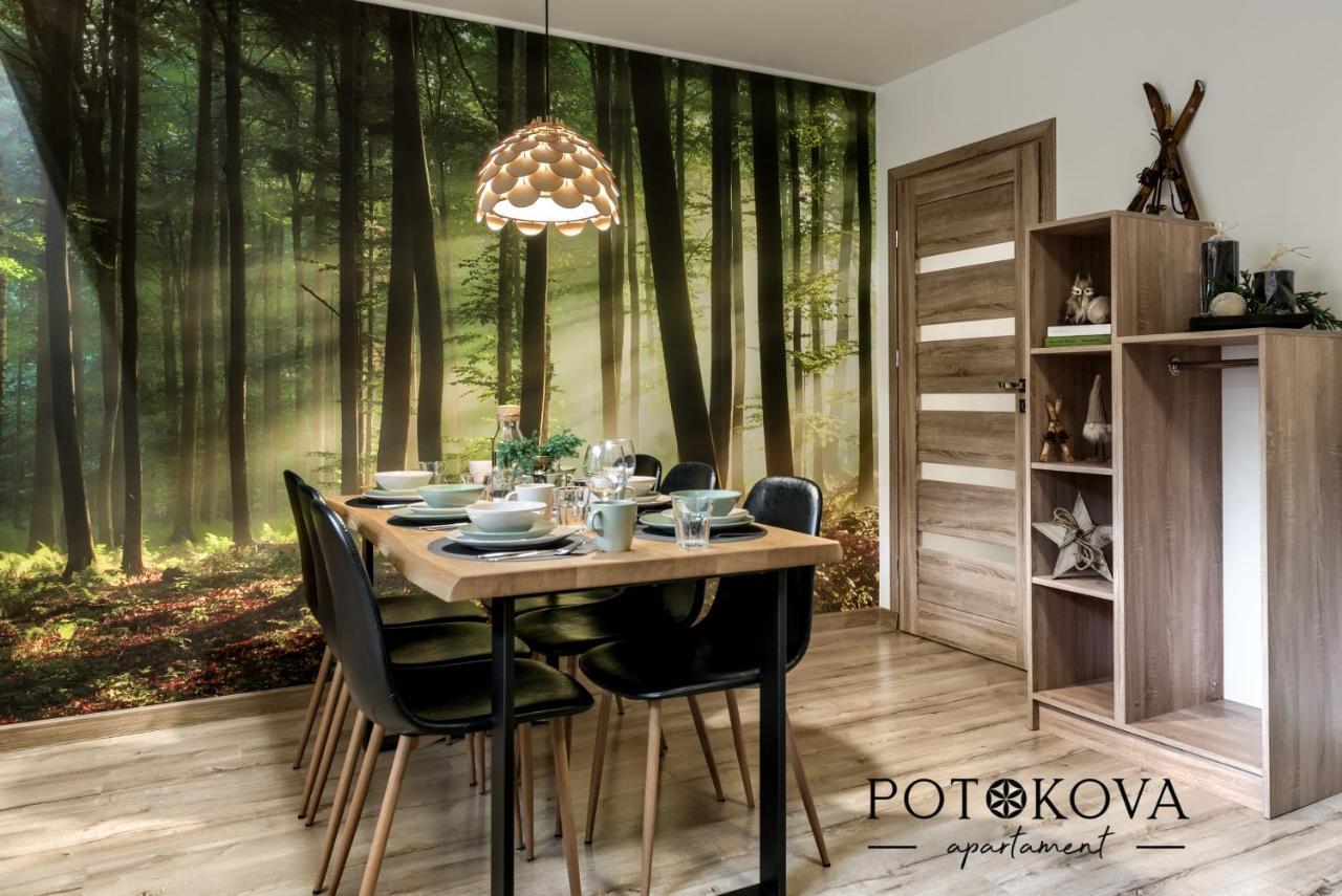 Potokova Apartament Centrum Zakopane Zewnętrze zdjęcie