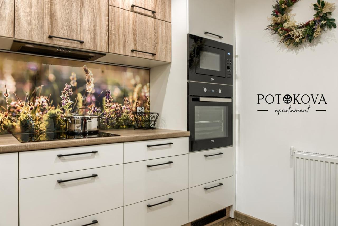 Potokova Apartament Centrum Zakopane Zewnętrze zdjęcie