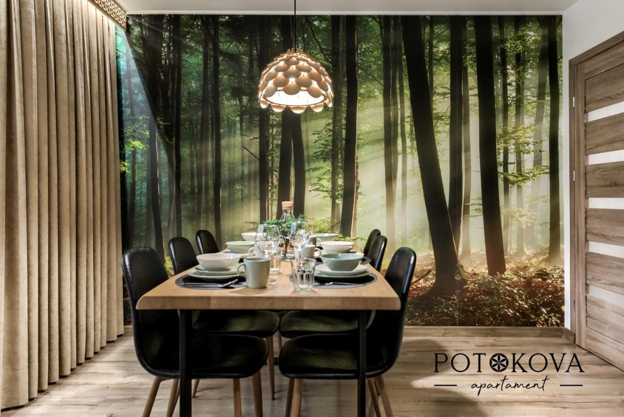 Potokova Apartament Centrum Zakopane Zewnętrze zdjęcie