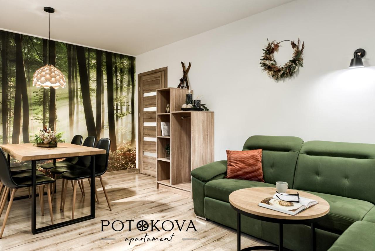 Potokova Apartament Centrum Zakopane Zewnętrze zdjęcie